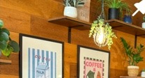 Warm wood and plants inside Nourish