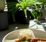 A fresh lunch plate at Nourish